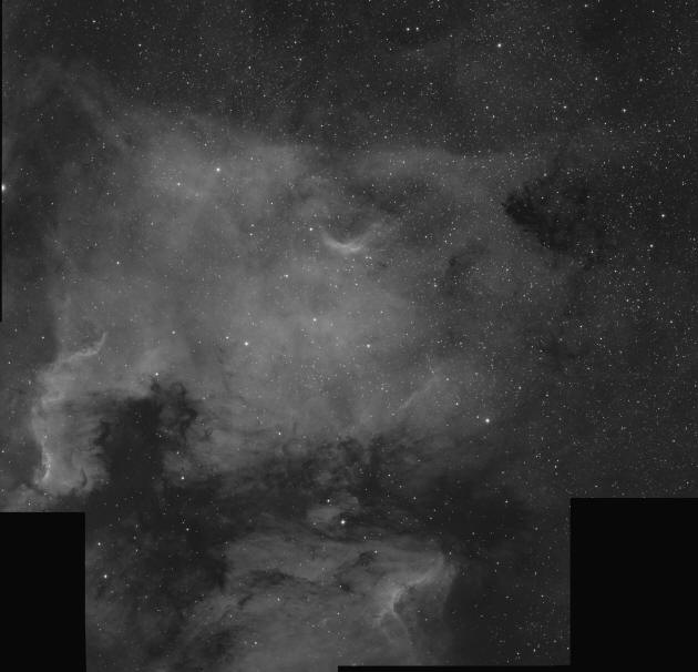 NGC 7000